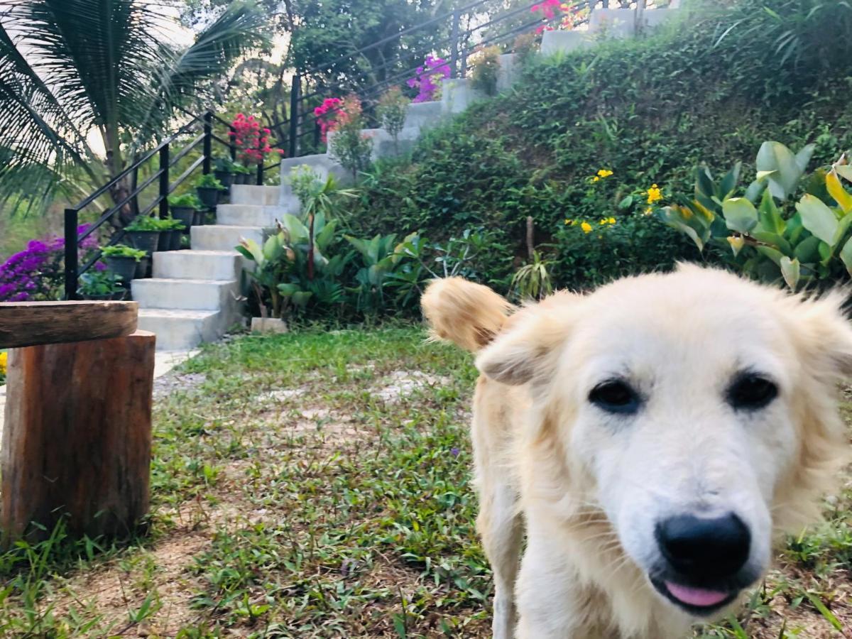 Baanhatsompaen Homestay Ranong Dış mekan fotoğraf